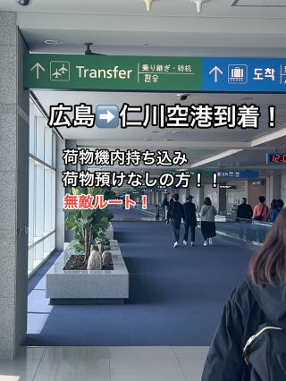 Incheon Airport Transit: Terminal 1 to Terminal 2