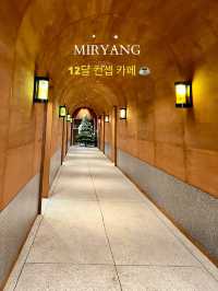 대학교를 12달 컨셉으로 리모델링 한~사계절 테마 카페 ☕️