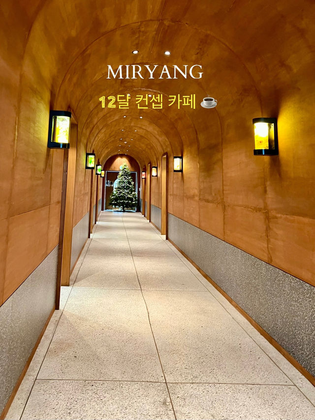 대학교를 12달 컨셉으로 리모델링 한~사계절 테마 카페 ☕️