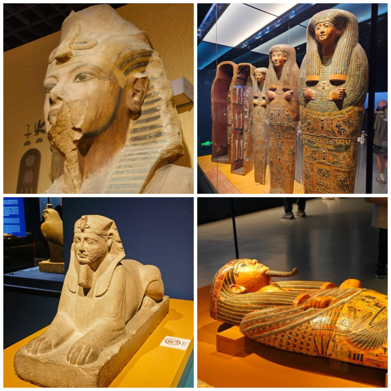 中国/上海博物館】中国三大博物館 | Trip.com 上海