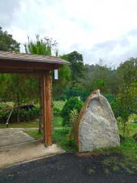 A Breath of Fresh Air Backpacker in Seremban