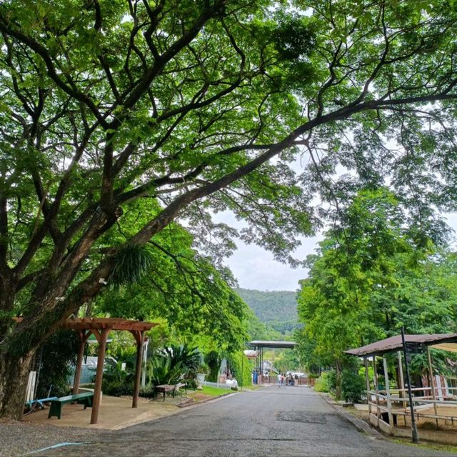 Bonanza Exotic park