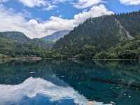 Solo Traveller Transportation Guide for JiuZhaiGou from Chengdu!