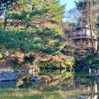 Tranquility at Maruyama Park, Kyoto