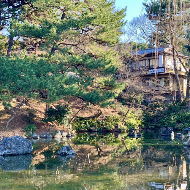 Tranquility at Maruyama Park, Kyoto
