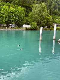 A Boat Trip to Remember on Lake Brienz Quay