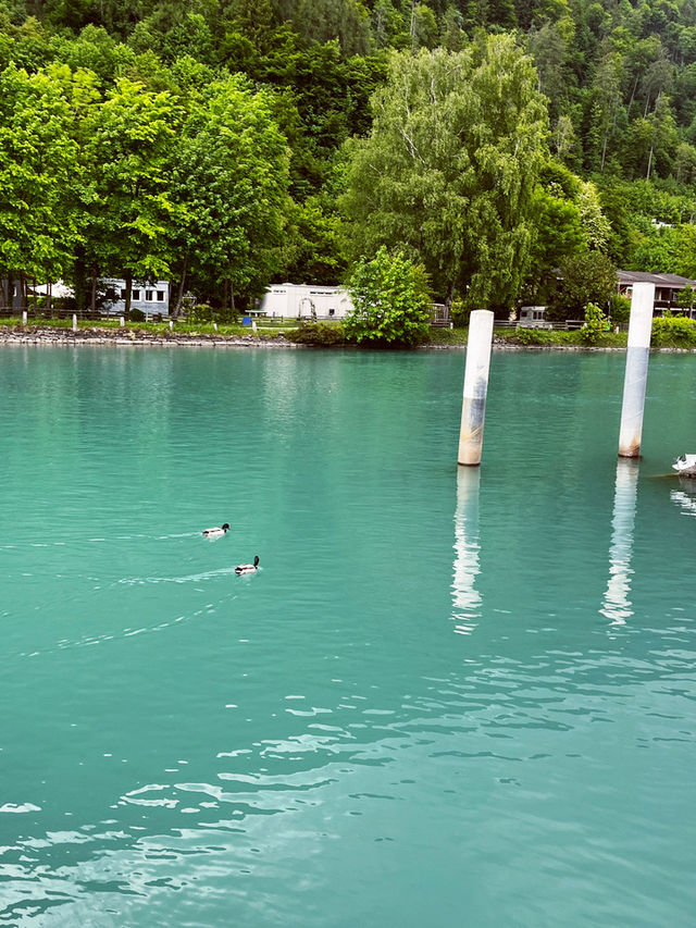 A Boat Trip to Remember on Lake Brienz Quay