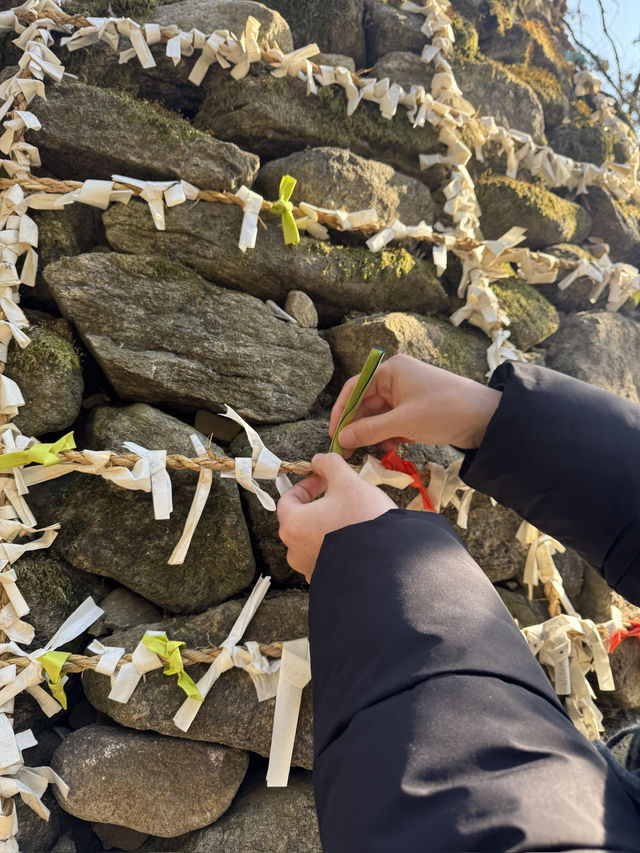 🏮 용인 한국민속촌 후기 📜 