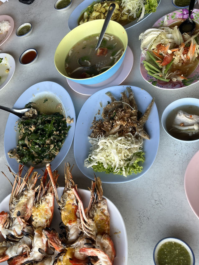 Exploring the Tapi River, Surat Thani
