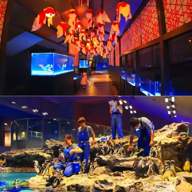 墨田水族館🐬🪼🐙🐟🐠🐟🐬