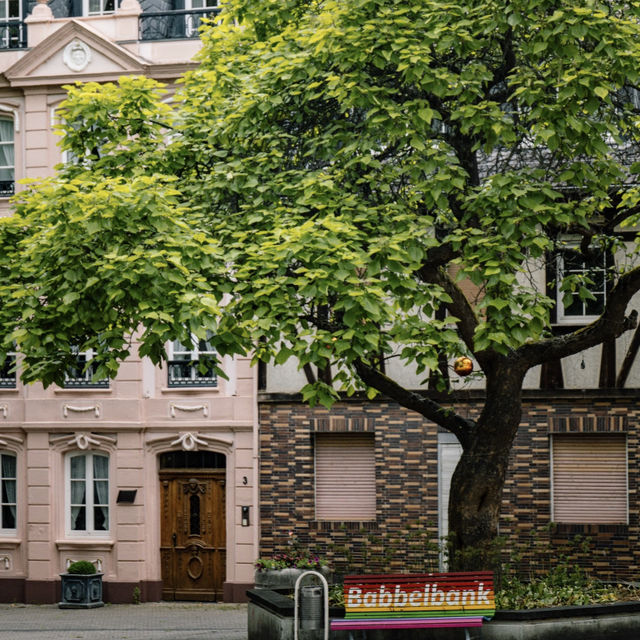 Slow Travel on the Rhine: Charming Towns & Stunning Views! 🏞️🚢