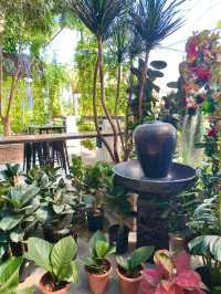 A Touch of Nature in the City – Budget Garden Spot in Hong Kong
