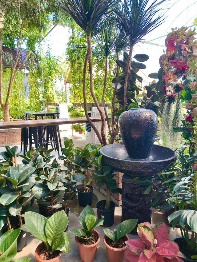 A Touch of Nature in the City – Budget Garden Spot in Hong Kong