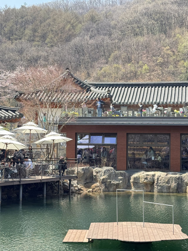 🌸 봄을 걷다, 화담숲 여행기