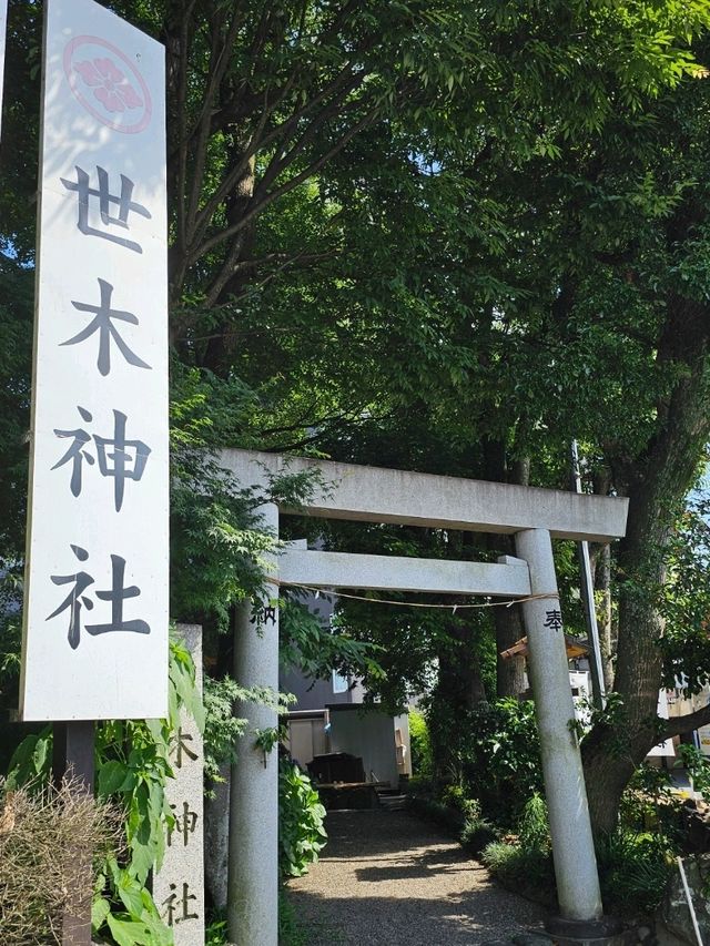 神明守護的水源小祠，伊勢市車站旁〔世木神社〕⛩️