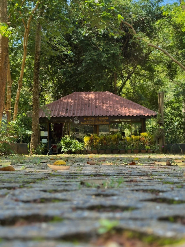 自然の癒しを感じる場所、タートトーン国立公園へようこそ。
