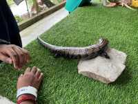 Farm In The City KL – A Fun and Hands-On Experience for the Whole Family