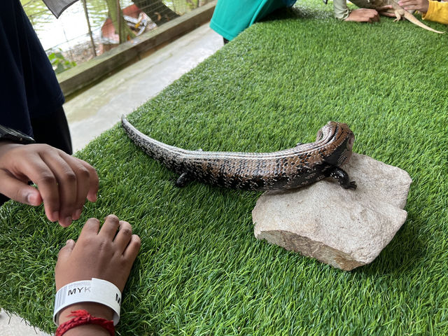 Farm In The City KL – A Fun and Hands-On Experience for the Whole Family