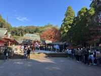 Spiritual Majesty at Kirishima Jingu 🌿