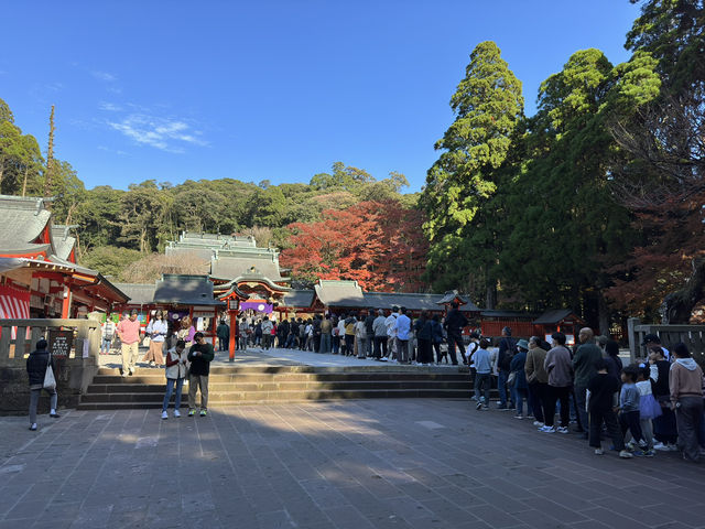 Spiritual Majesty at Kirishima Jingu 🌿