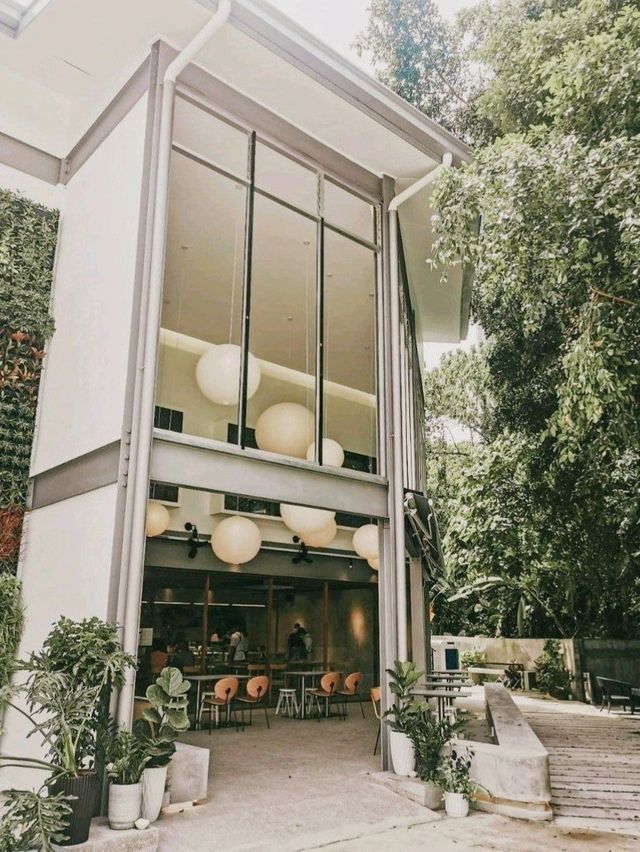 Mori Kohi Malaysia