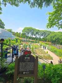 곰돌이와 장미를 볼수있는 세종 여행코스🧡