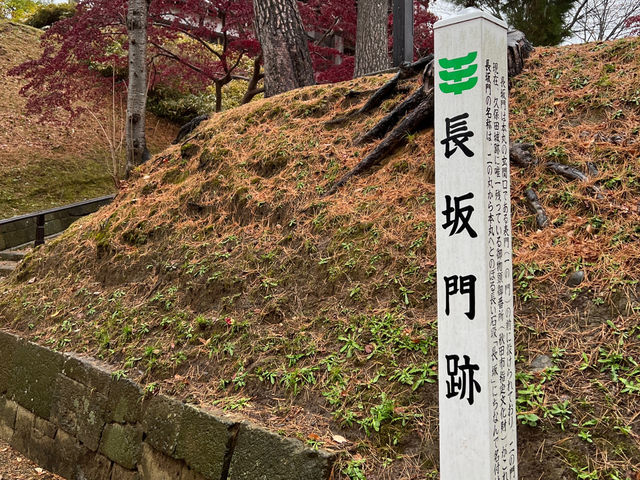 🌧️ Moody Skies Over Kubota Castle Ruins – A Quiet Slice of History