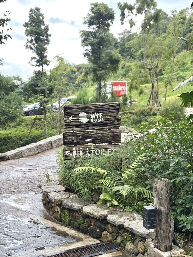 คาเฟ่เชียงใหม่ที่ไม่ควรพลาดต้องที่นี่ WTF Cafe ⛰️