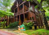 🍃✨ Philea Resort & Spa Melaka – Sleep in a Wooden Wonderland! 🏡🌿