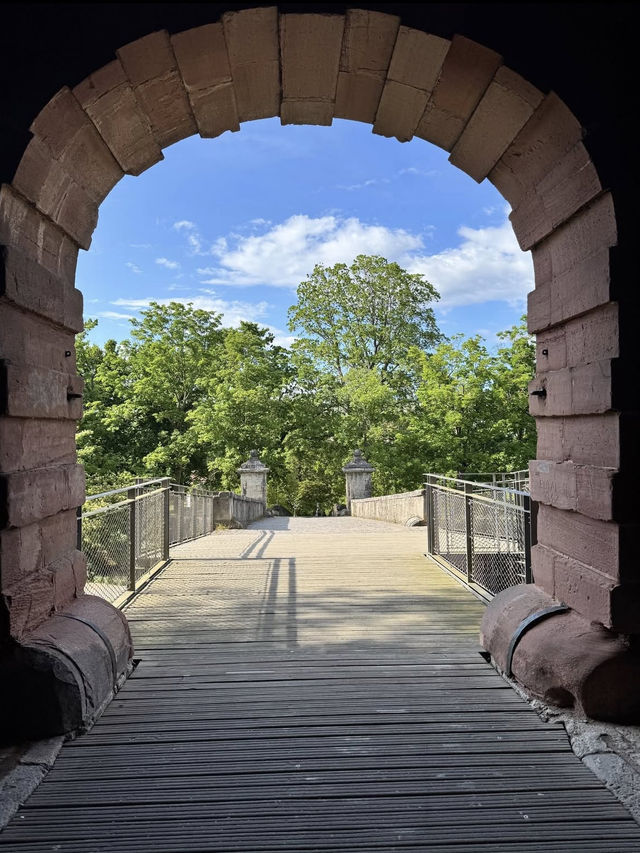 🏰世界遺産の古城へ！ヴァルトブルク城で歴史の深みを味わう旅📜