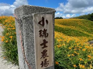 在金針花海與山林間 遇見台灣版的阿爾卑斯
