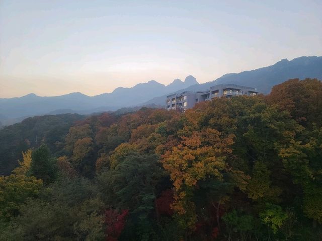 파라스파라 서울 프리미어 팀버 스위트 (히노끼탕, 인룸다이닝, 실내수영장, 야외수영장, 사우나, 조식)