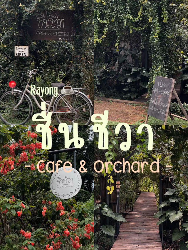 คาเฟ่ลับระยอง| บรรยากาศดี ในสวนผลไม้