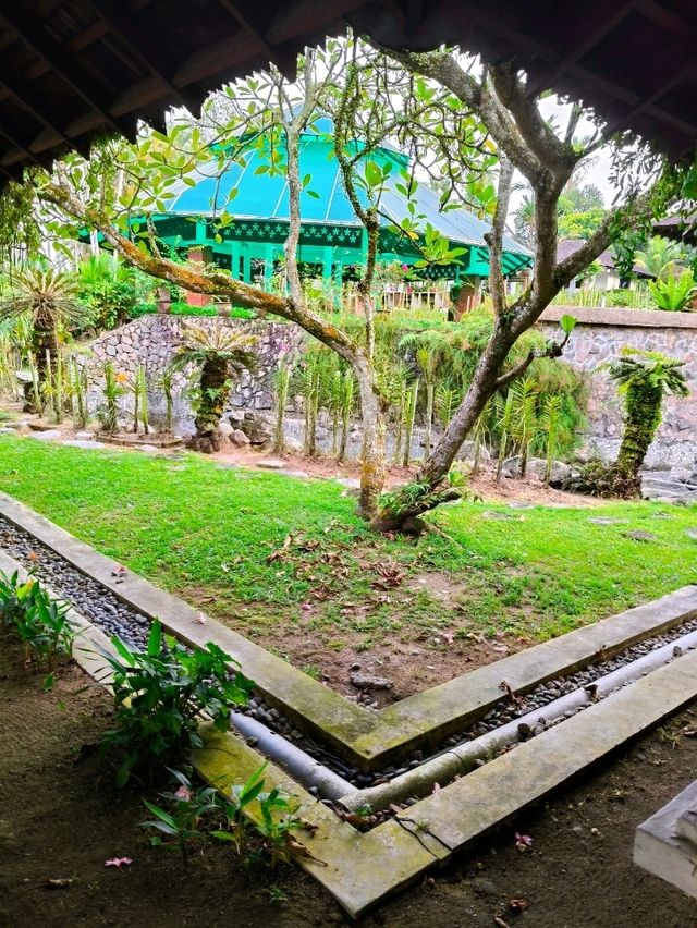 JB's Botanical Gem: Find Serenity & Rare Orchids at This Hidden Urban Garden