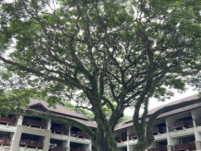 Le Meridien Chiang Rai Resortเลอเมอริเดียนเชียงราย