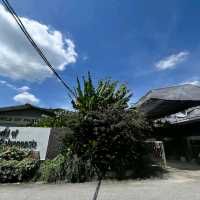World of Phalaenopsis Orchid Farm
