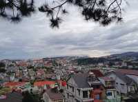 Enjoy the cool breeze in the summer of Dalat 🌲
