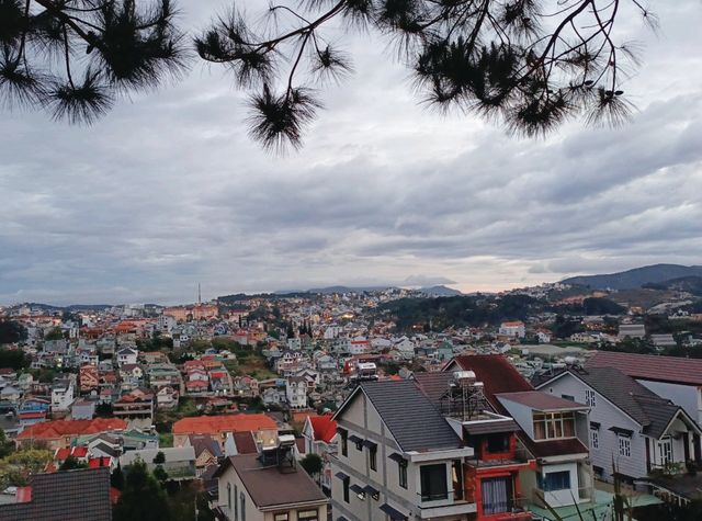 Enjoy the cool breeze in the summer of Dalat 🌲