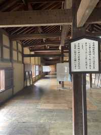 【滋賀/彦根】彦根城