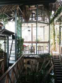 rain forest