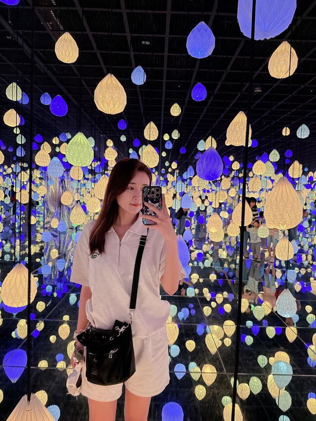 강릉 여행코스 몰입형 미디어아트 전시 공간✨ 아르떼뮤지엄 강릉
