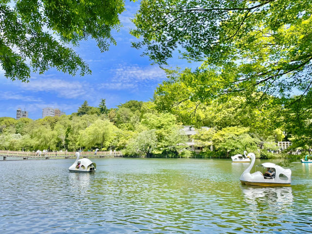 도쿄 속 작은 숲속 정원 같은 곳 추천🍃