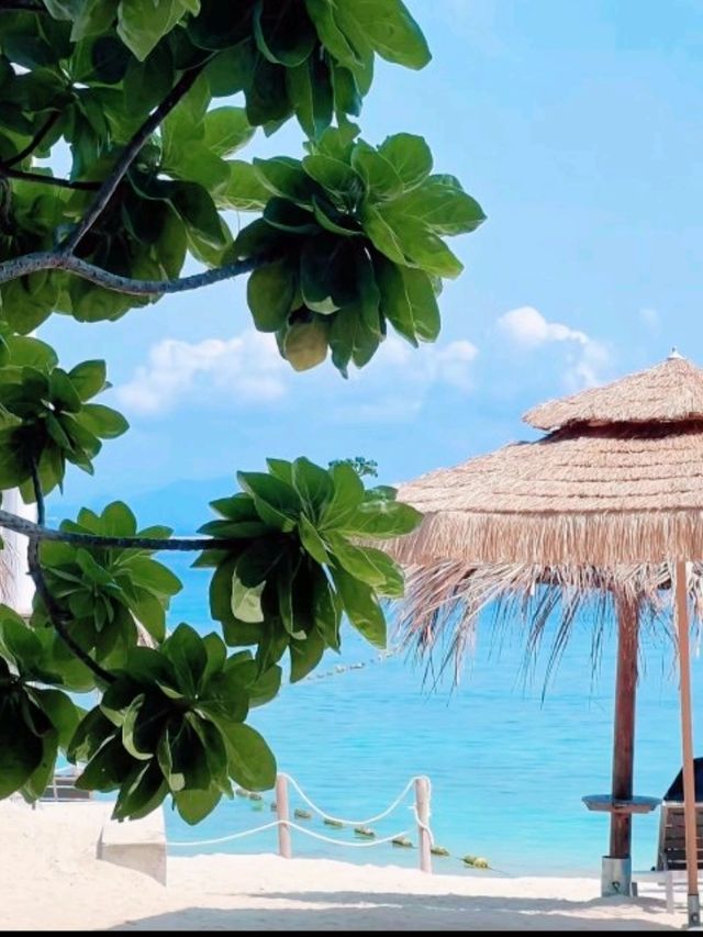 三亞「小天堂」⛱️🥥🍹蜈支洲島全攻略