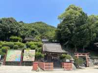日本關西自駕遊 | 滋賀縣 | 白鬚神社