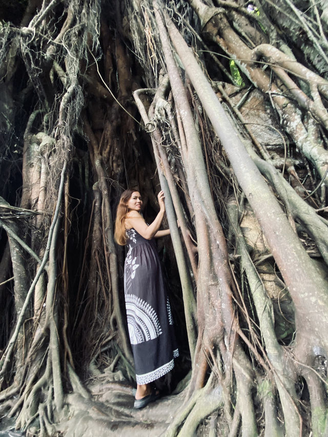 Siquijor: Whispers of Wellness