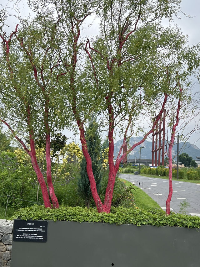 광화문 거리와 열린 송현