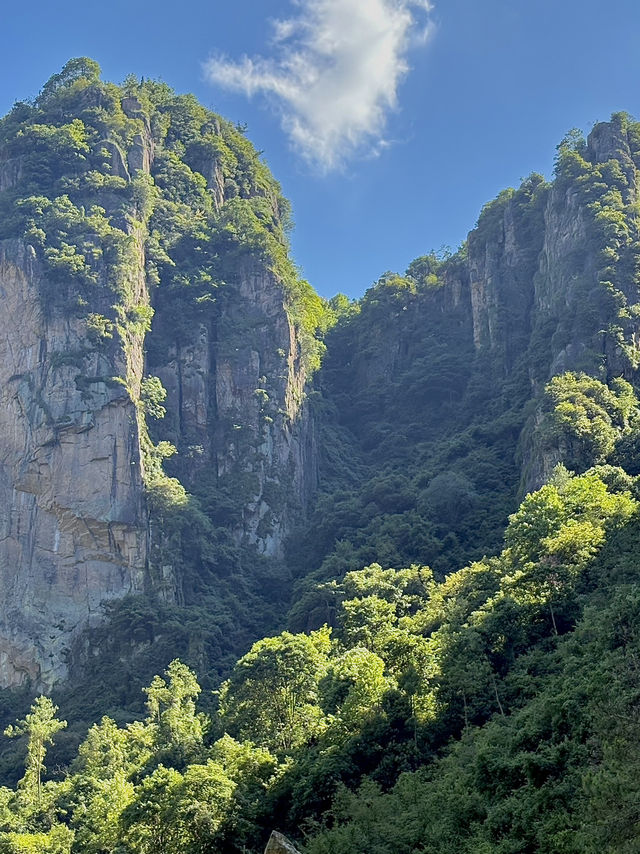 한여름에 다녀온 天台山 대폭포 – 계단 지옥 끝에 만난 장관⛰️