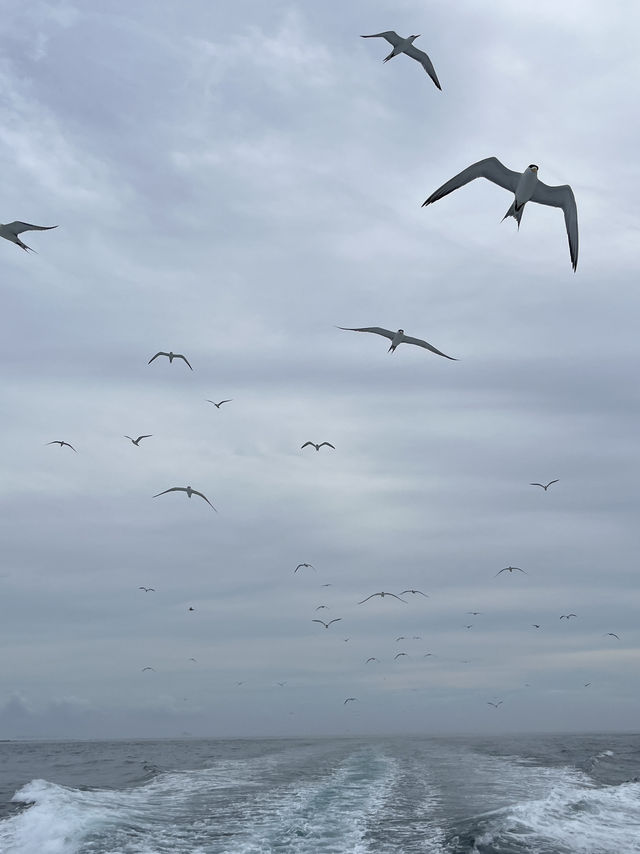 🌊🌴 Penghu Island – 3 Coastal Gems You Can’t Miss 