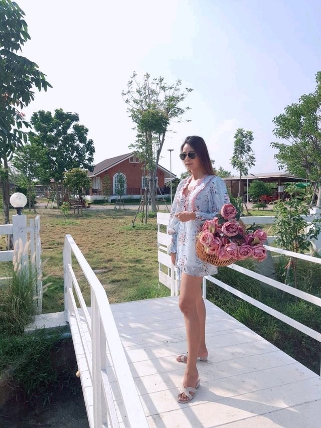 สวนดอกไม้ บ้านไร่นายรุ่ง กาญจนบุรี