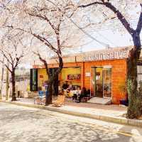 Coconut Grove cafe